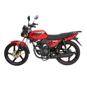 MOTO XY150-10D | SHINERAY