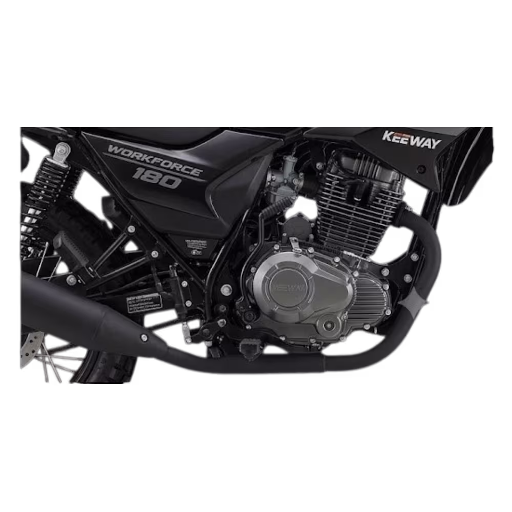 moto dy180 workforce pro daytona detalle5