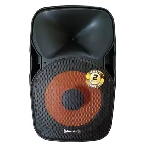 Parlante Recargable Z15-BEAT 100 WATTS | Bazzuka