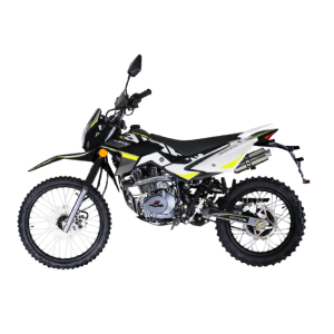 MOTO DY150 EAGLE LLL | DAYTONA	